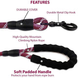 5FT Dog Leash Lead Padded Handle Reflective Nylon Rope Training Walking Harness