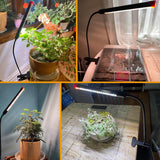 Brightify Upgraded Plant Light, 1000 Lumen Clip On Grow Light 1-Head with 4/8/12H Timer Function, Grow Lights for Indoor Plants Full Spectrum, Bright Plant Growing Lamp with 42PCS White Red LEDs