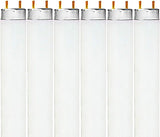 Brightify F32T8/841 32W 48 Inch T8 Fluorescent Tube Light Bulb, 4100K Cool White, 2800 Lumens, G13 Medium Bi-Pin Base, LR20732