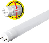 Brightify T8 LED Bulbs 4 Foot, 40 Watt Equivalent, Type A Tube Light, Plug & Play, T8 or T12 LED Tube Light, LED Fluorescent Replacement, Frosted, T48/840/LEDG2/4, 4100K Cool White, 4 Pack