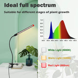 Brightify Upgraded Plant Light, 1000 Lumen Clip On Grow Light 1-Head with 4/8/12H Timer Function, Grow Lights for Indoor Plants Full Spectrum, Bright Plant Growing Lamp with 42PCS White Red LEDs