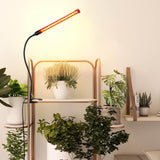 Brightify Upgraded Plant Light, 1000 Lumen Clip On Grow Light 1-Head with 4/8/12H Timer Function, Grow Lights for Indoor Plants Full Spectrum, Bright Plant Growing Lamp with 42PCS White Red LEDs