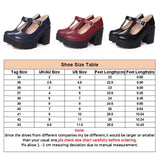 Women's Mary Jane School Shoes Height Increasing Block Heels Ankle Strap Pumps