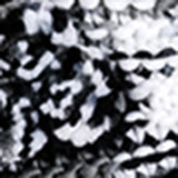 New Womens Winter Plush Indoor Warm Socks Leopard Pattern Plush Lined Slippers