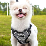 Pet Dog Puppy Harness & Leash Lead Set Traction Kit Adjustable Collar Reflective