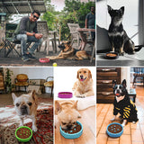 Slow Feeder Dog Bowl Anti Bloat Non Skid Pet Cat Puppy Food Dish Water Feeding
