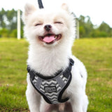 Pet Dog Puppy Harness & Leash Lead Set Traction Kit Adjustable Collar Reflective