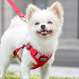 Pet Dog Puppy Harness & Leash Lead Set Traction Kit Adjustable Collar Reflective