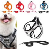 Pet Dog Puppy Harness & Leash Lead Set Traction Kit Adjustable Collar Reflective