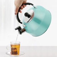3L Stainless Steel Whistling Kettle Tea Pot Teapot With Foldable Handle Stovetop