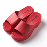 Ferndule Women's Wedge Platform Sandals Summer Slip On Beach Shoes