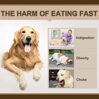 Slow Feeder Dog Bowl Anti Bloat Non Skid Pet Cat Puppy Food Dish Water Feeding