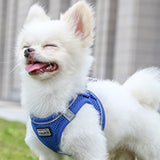 Pet Dog Puppy Harness & Leash Lead Set Traction Kit Adjustable Collar Reflective