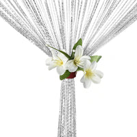 HANGING BEADED CURTAIN STRING DOOR WINDOW CURTAINS TASSEL FLY SCREEN PANEL