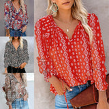Women's Floral Print V Neck Loose Fit Long Lantern Sleeve T Shirts Pullover Tops