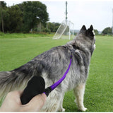 5FT Dog Leash Lead Padded Handle Reflective Nylon Rope Training Walking Harness