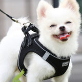 Pet Dog Puppy Harness & Leash Lead Set Traction Kit Adjustable Collar Reflective