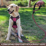 5FT Dog Leash Lead Padded Handle Reflective Nylon Rope Training Walking Harness